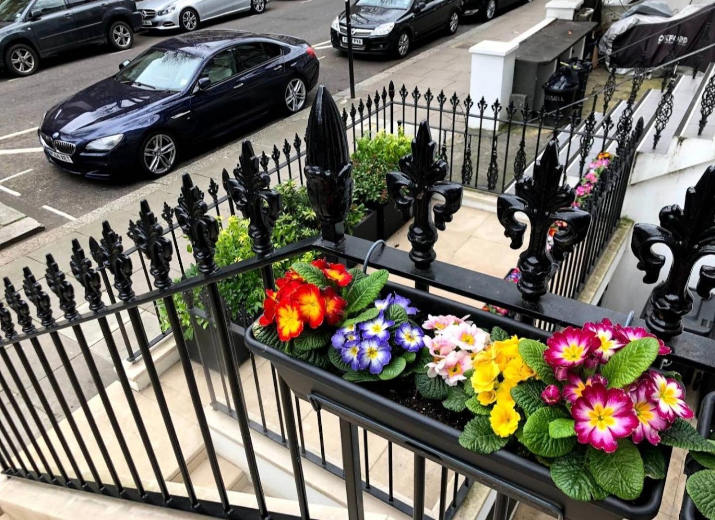 Sunny 1 Bedroom Flat In Central Londra Dış mekan fotoğraf